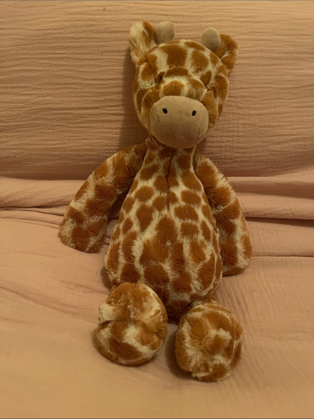 Jellycat Bashful Giraffe